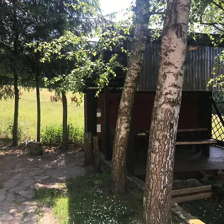 Mazurski 50 M Od Plazy Brozowka